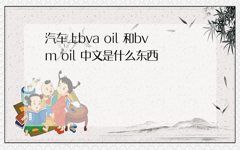 汽车上bva oil 和bvm oil 中文是什么东西