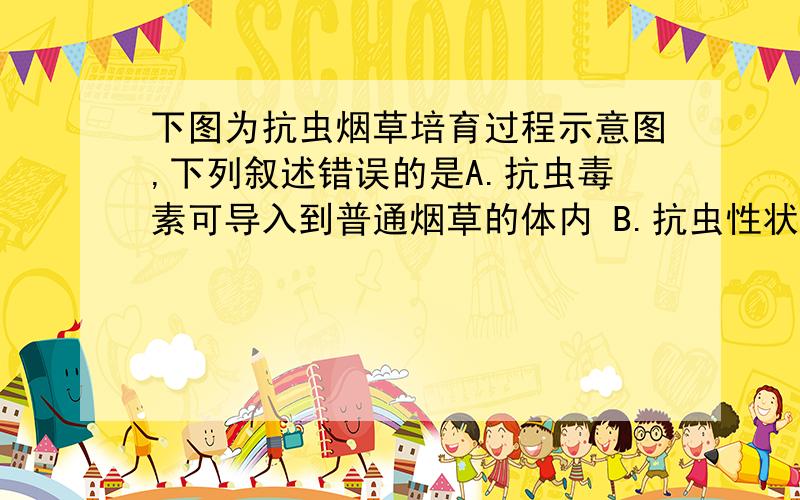 下图为抗虫烟草培育过程示意图,下列叙述错误的是A.抗虫毒素可导入到普通烟草的体内 B.抗虫性状由抗虫基因控制\x05C.抗虫烟草是一种转基因植物 D.该过程也利用了植物组织培养技术