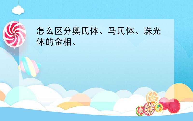 怎么区分奥氏体、马氏体、珠光体的金相、