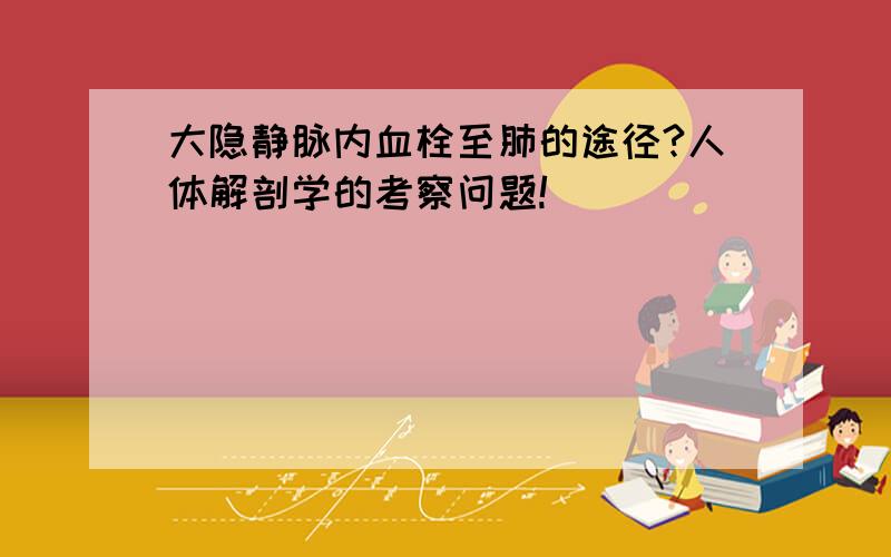 大隐静脉内血栓至肺的途径?人体解剖学的考察问题!