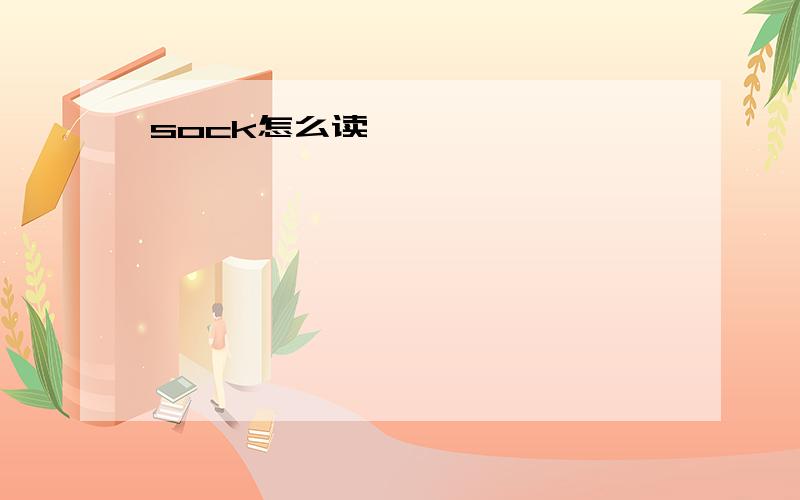 sock怎么读