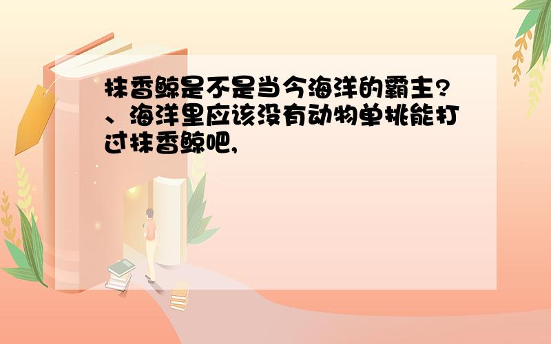 抹香鲸是不是当今海洋的霸主?、海洋里应该没有动物单挑能打过抹香鲸吧,