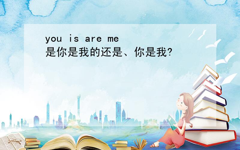 you is are me 是你是我的还是、你是我?