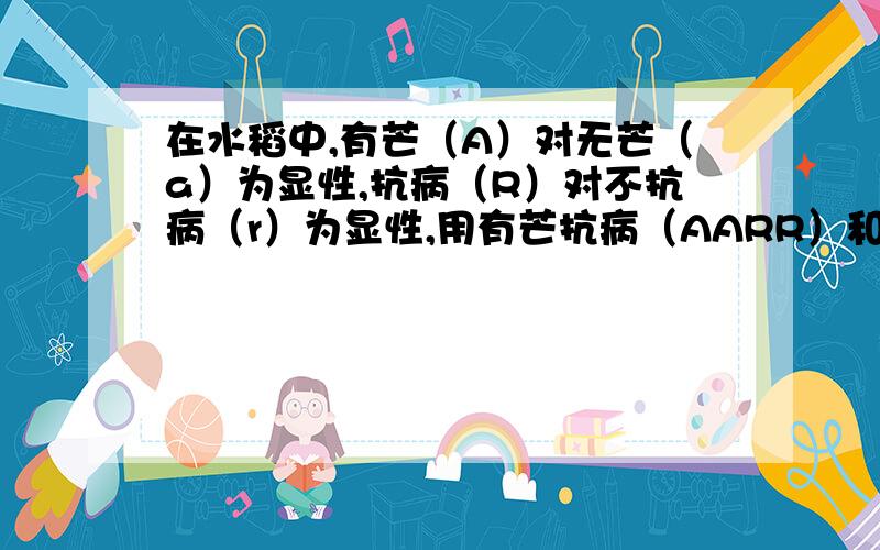 在水稻中,有芒（A）对无芒（a）为显性,抗病（R）对不抗病（r）为显性,用有芒抗病（AARR）和无芒不抗病就抗病和不抗病这对相对性状而言,让F1自交三代,在自然情况下,基因频率的变化是 （