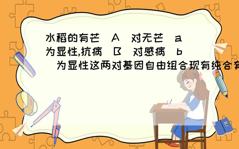 水稻的有芒（A）对无芒（a）为显性,抗病（B）对感病（b）为显性这两对基因自由组合现有纯合有芒感病株与纯合无芒抗病株杂交,得到F1后代,再将此F1与无芒的杂合抗病株杂交子代的四种表