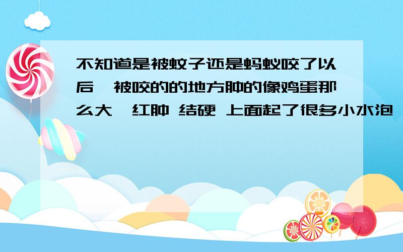 不知道是被蚊子还是蚂蚁咬了以后,被咬的的地方肿的像鸡蛋那么大,红肿 结硬 上面起了很多小水泡,请问要怎么办?