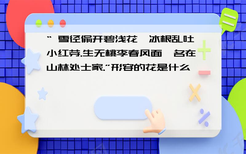 “ 雪径偷开碧浅花,冰根乱吐小红芽.生无桃李春风面,名在山林处士家.”形容的花是什么