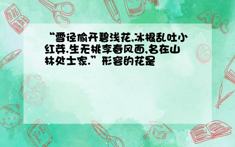 “雪径偷开碧浅花,冰根乱吐小红芽.生无桃李春风面,名在山林处士家.”形容的花是