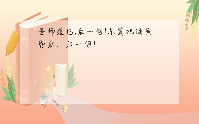 吾师道也,后一句!东篱把酒黄昏后，后一句！