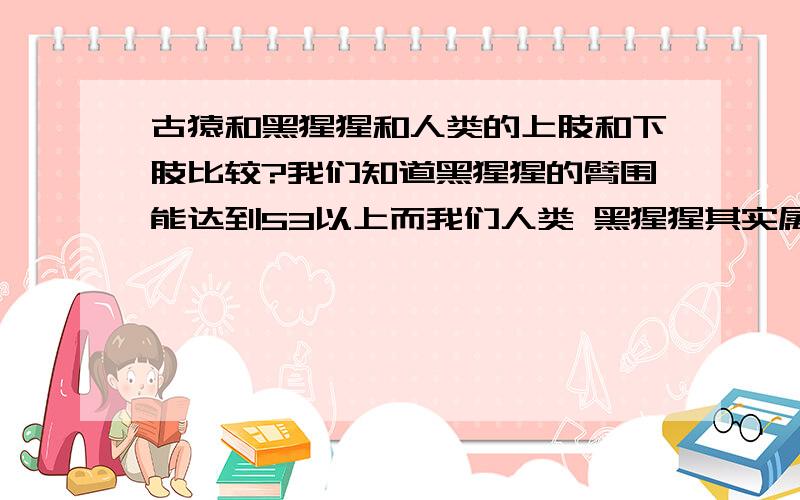 古猿和黑猩猩和人类的上肢和下肢比较?我们知道黑猩猩的臂围能达到53以上而我们人类 黑猩猩其实属于人属第二种 我们也是是一种 我们成年人 就拿山顶洞人来说吧 或者长期生活在野外的