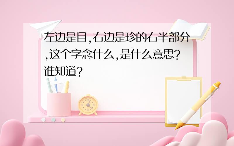 左边是目,右边是珍的右半部分,这个字念什么,是什么意思?谁知道?