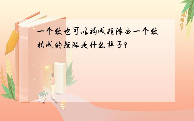 一个数也可以构成矩阵由一个数构成的矩阵是什么样子?