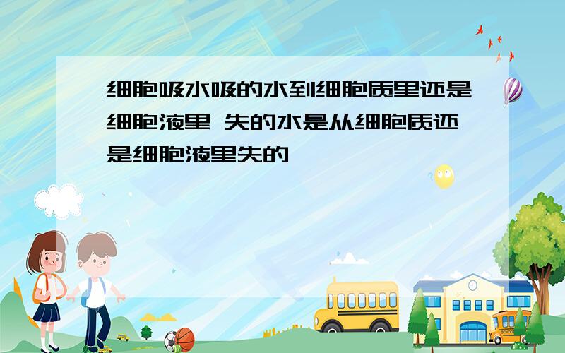 细胞吸水吸的水到细胞质里还是细胞液里 失的水是从细胞质还是细胞液里失的