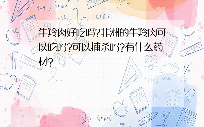 牛羚肉好吃吗?非洲的牛羚肉可以吃吗?可以捕杀吗?有什么药材?