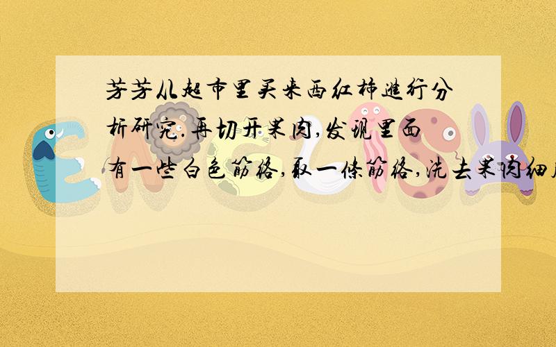 芳芳从超市里买来西红柿进行分析研究.再切开果肉,发现里面有一些白色筋络,取一条筋络,洗去果肉细胞,制成临时装片,轻轻一压,然后放在显微镜下观察,可以发现其中的细胞一个个上下连接,