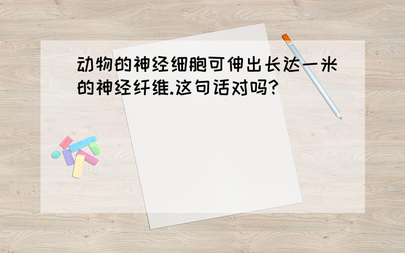 动物的神经细胞可伸出长达一米的神经纤维.这句话对吗?