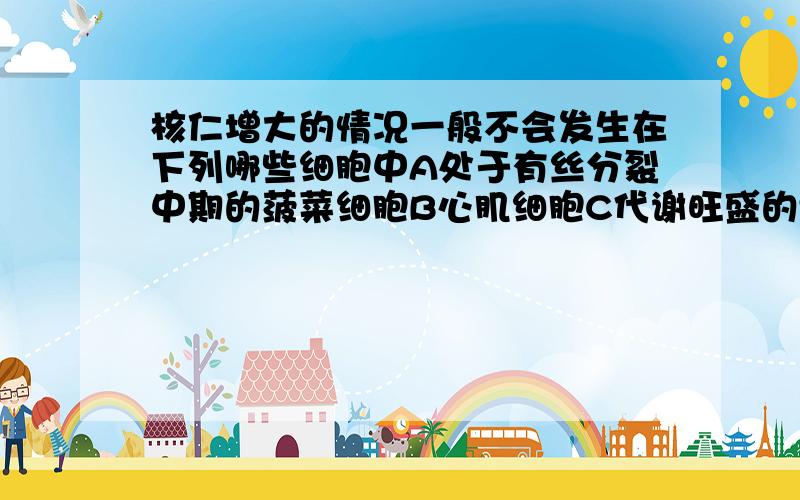 核仁增大的情况一般不会发生在下列哪些细胞中A处于有丝分裂中期的菠菜细胞B心肌细胞C代谢旺盛的颤藻细胞D蛋白质合成旺盛的细胞,