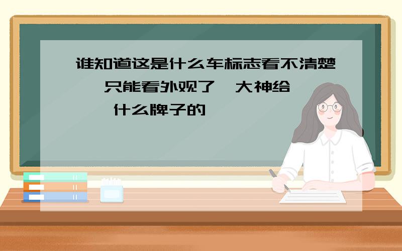 谁知道这是什么车标志看不清楚   只能看外观了  大神给瞅瞅什么牌子的