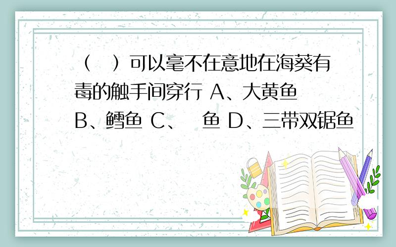 （　）可以毫不在意地在海葵有毒的触手间穿行 A、大黄鱼 B、鳕鱼 C、鮣鱼 D、三带双锯鱼