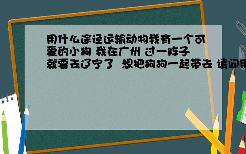 用什么途径运输动物我有一个可爱的小狗 我在广州 过一阵子就要去辽宁了  想把狗狗一起带去 请问用什么途径比较方便而且剩钱 目前我只知道可以空运 但是运费要300多大样  太贵了