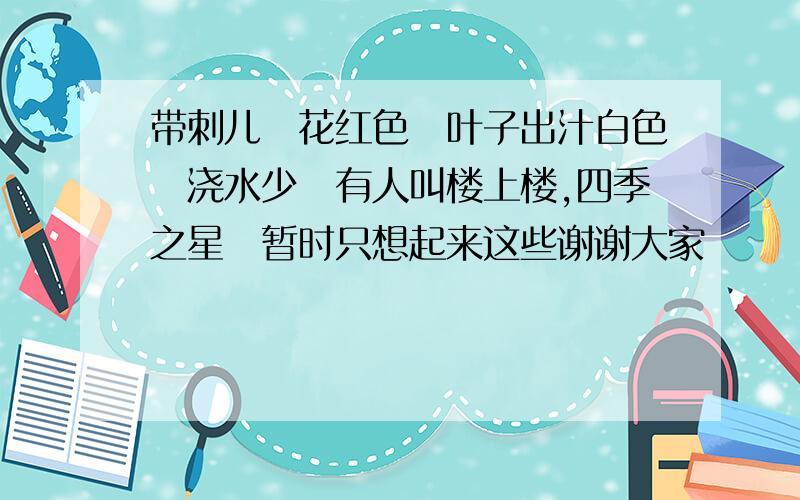 带刺儿　花红色　叶子出汁白色　浇水少　有人叫楼上楼,四季之星　暂时只想起来这些谢谢大家