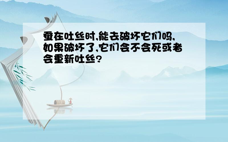 蚕在吐丝时,能去破坏它们吗,如果破坏了,它们会不会死或者会重新吐丝?