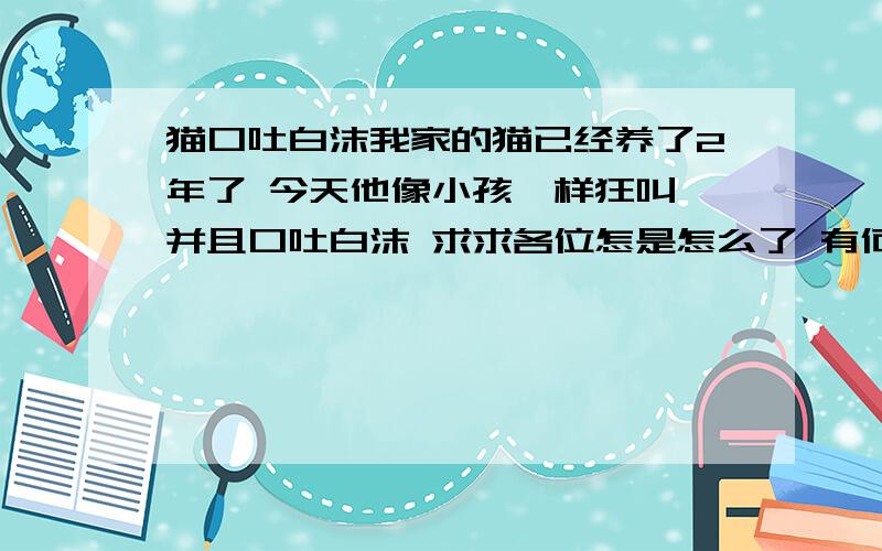 猫口吐白沫我家的猫已经养了2年了 今天他像小孩一样狂叫 并且口吐白沫 求求各位怎是怎么了 有何办法可使他好起来?可是附近没兽医医院