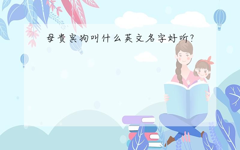 母贵宾狗叫什么英文名字好听?