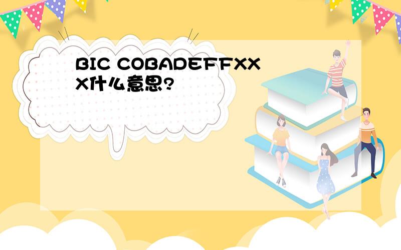 BIC COBADEFFXXX什么意思?