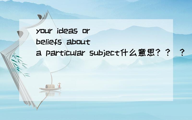 your ideas or beliefs about a particular subject什么意思? ?  ?