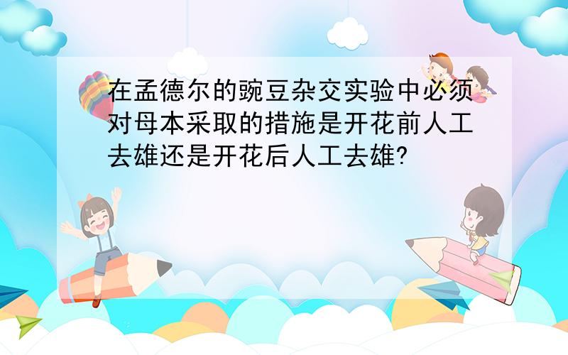 在孟德尔的豌豆杂交实验中必须对母本采取的措施是开花前人工去雄还是开花后人工去雄?