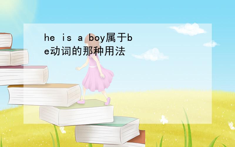 he is a boy属于be动词的那种用法