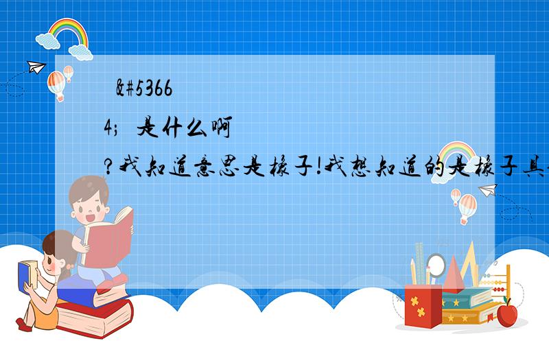 도토리是什么啊?我知道意思是橡子!我想知道的是橡子具体是个什么东西!