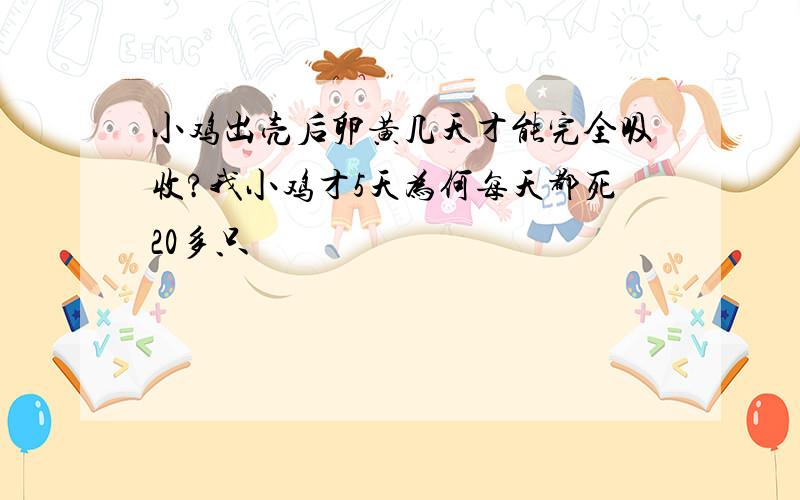 小鸡出壳后卵黄几天才能完全吸收?我小鸡才5天为何每天都死20多只