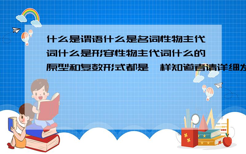 什么是谓语什么是名词性物主代词什么是形容性物主代词什么的原型和复数形式都是一样知道者请详细发过来,