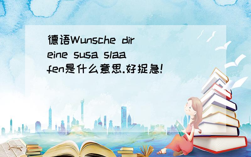 德语Wunsche dir eine susa slaafen是什么意思.好捉急!