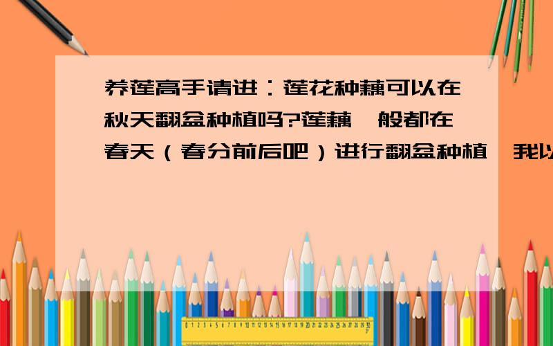 养莲高手请进：莲花种藕可以在秋天翻盆种植吗?莲藕一般都在春天（春分前后吧）进行翻盆种植,我以前也一直是这样的.今年种了些莲花（粉色大花品种,不是碗莲）,有两大盆和一小水池,估