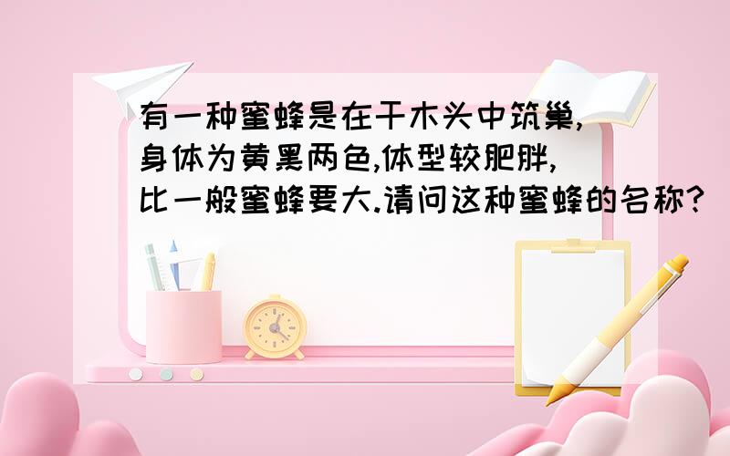 有一种蜜蜂是在干木头中筑巢,身体为黄黑两色,体型较肥胖,比一般蜜蜂要大.请问这种蜜蜂的名称?