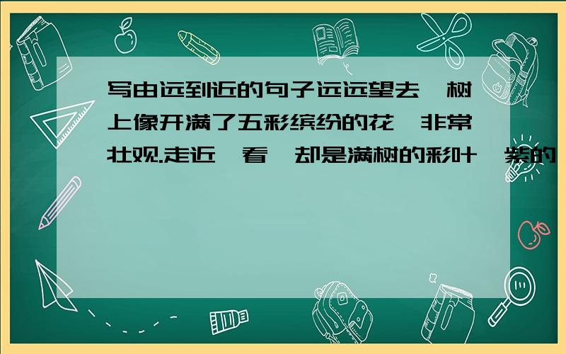 写由远到近的句子远远望去,树上像开满了五彩缤纷的花,非常壮观.走近一看,却是满树的彩叶,紫的、黄的、绿的、红的,好似含情脉脉的少女,向人们频频点头.这种类型的