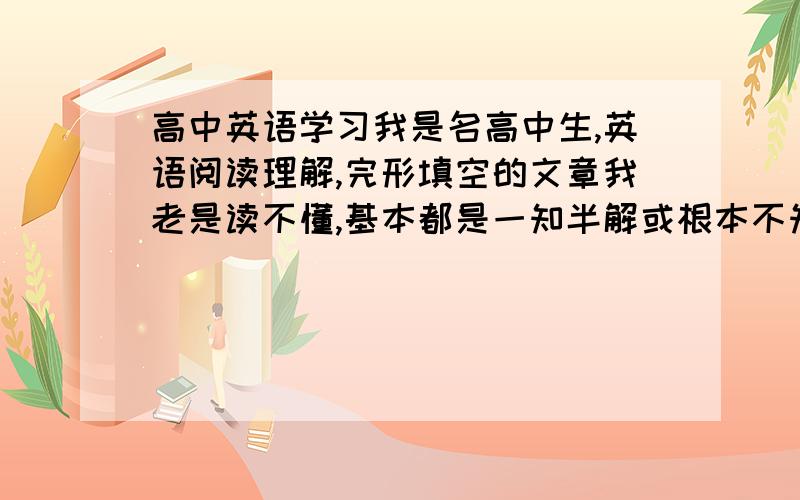 高中英语学习我是名高中生,英语阅读理解,完形填空的文章我老是读不懂,基本都是一知半解或根本不知道文意,一开始我想到要背单词,可是后来背了很久都没有太大效果,于是我又到英语网站