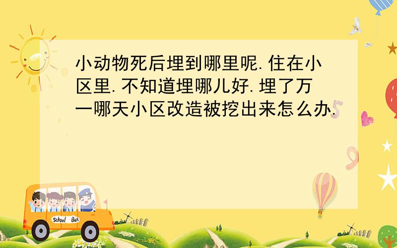 小动物死后埋到哪里呢.住在小区里.不知道埋哪儿好.埋了万一哪天小区改造被挖出来怎么办.