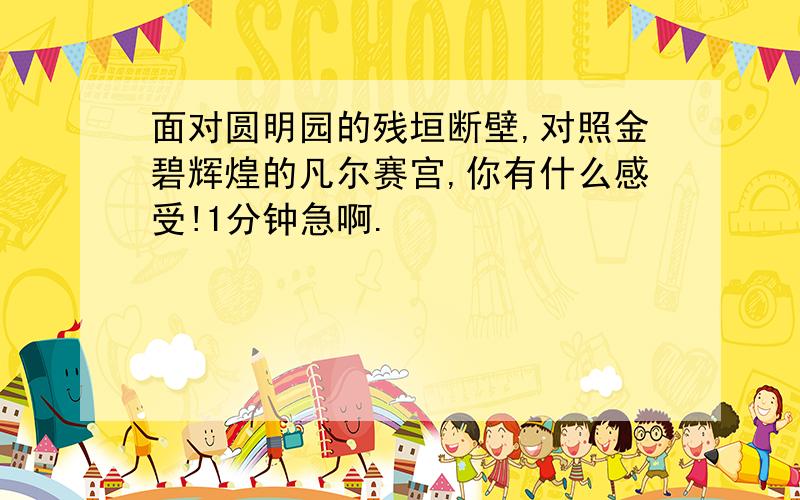 面对圆明园的残垣断壁,对照金碧辉煌的凡尔赛宫,你有什么感受!1分钟急啊.