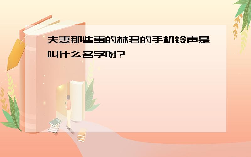 夫妻那些事的林君的手机铃声是叫什么名字呀?