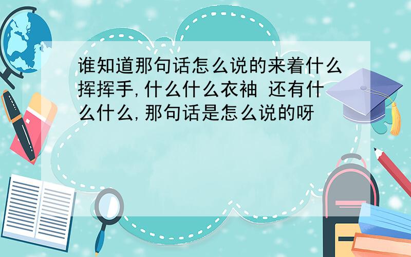 谁知道那句话怎么说的来着什么挥挥手,什么什么衣袖 还有什么什么,那句话是怎么说的呀