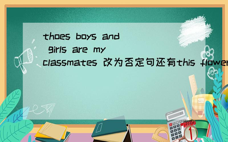 thoes boys and girls are my classmates 改为否定句还有this flower is very beautiful将名次单数改为复数急