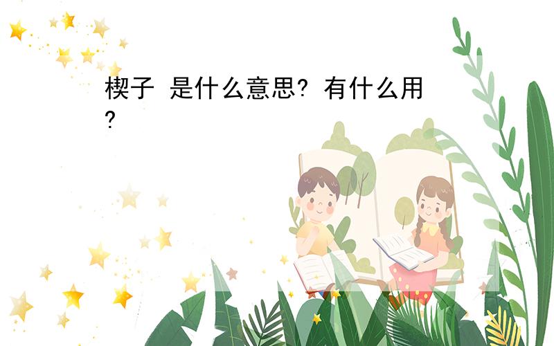 楔子 是什么意思? 有什么用?