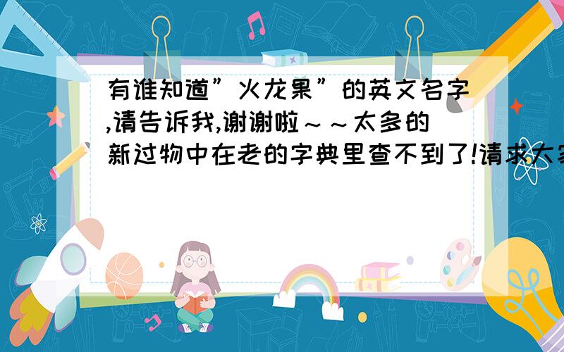 有谁知道”火龙果”的英文名字,请告诉我,谢谢啦～～太多的新过物中在老的字典里查不到了!请求大家帮个忙～～提前道谢了!