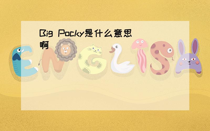 Big Pocky是什么意思啊