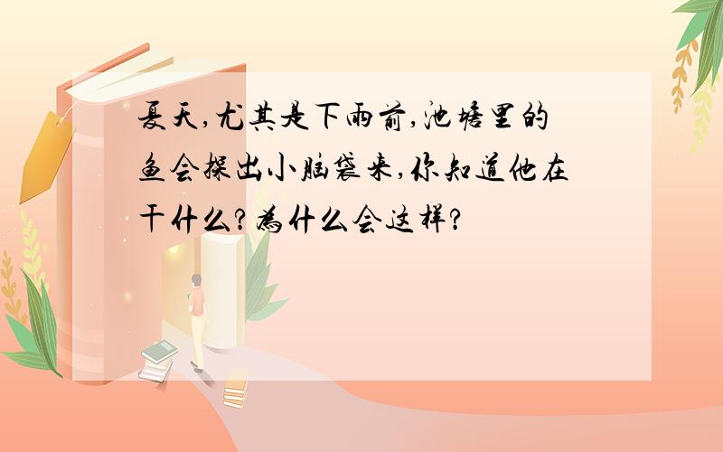 夏天,尤其是下雨前,池塘里的鱼会探出小脑袋来,你知道他在干什么?为什么会这样?