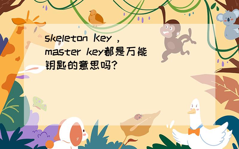 skeleton Key ,master key都是万能钥匙的意思吗?